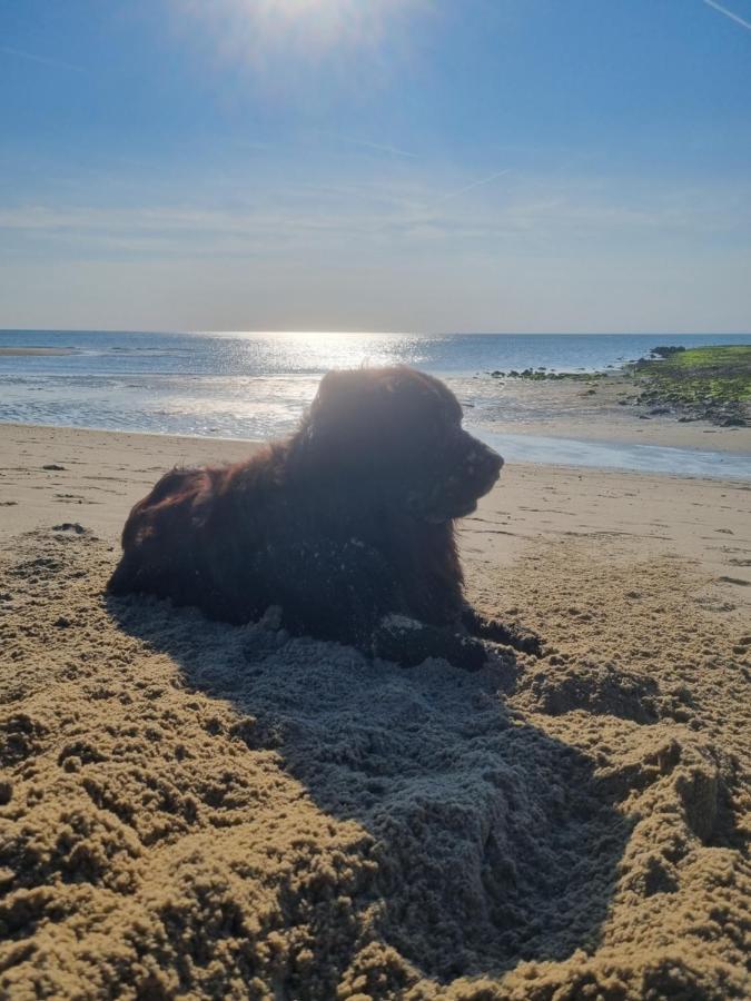 Meerblick Wattenmeer ,50M Vom Meer,Strand 300M Westerland Exteriör bild