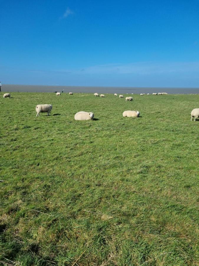 Meerblick Wattenmeer ,50M Vom Meer,Strand 300M Westerland Exteriör bild